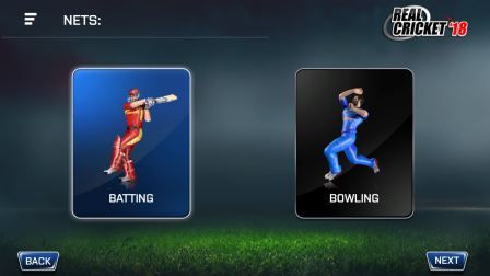 Real Cricket 18 Options